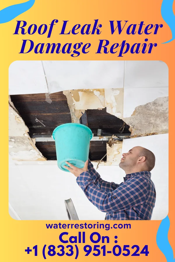 Roof Leak Water Damage Repair in Tinton Falls, NJ