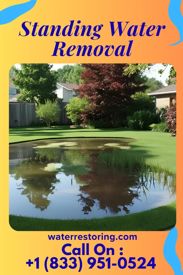 Standing Water Removal in Tinton Falls, NJ
